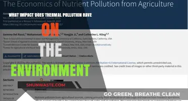 Thermal Pollution: Understanding Its Environmental Impact