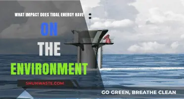Tidal Energy's Environmental Impact: Benefits, Challenges, and Sustainability Insights