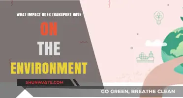 Transport's Environmental Impact: Pollution, Climate Change, and Sustainable Solutions