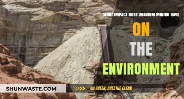 Uranium Mining's Environmental Impact: Risks, Consequences, and Sustainability Challenges