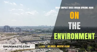 Urban Sprawl's Environmental Toll: Habitat Loss, Pollution, and Climate Change