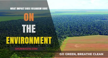 Veganism's Environmental Impact: A Sustainable Path for Our Planet