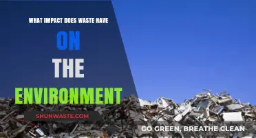 Waste's Devastating Environmental Impact: Pollution, Climate Change, and Ecosystem Destruction