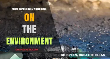 Water's Environmental Impact: Shaping Ecosystems, Climate, and Life on Earth