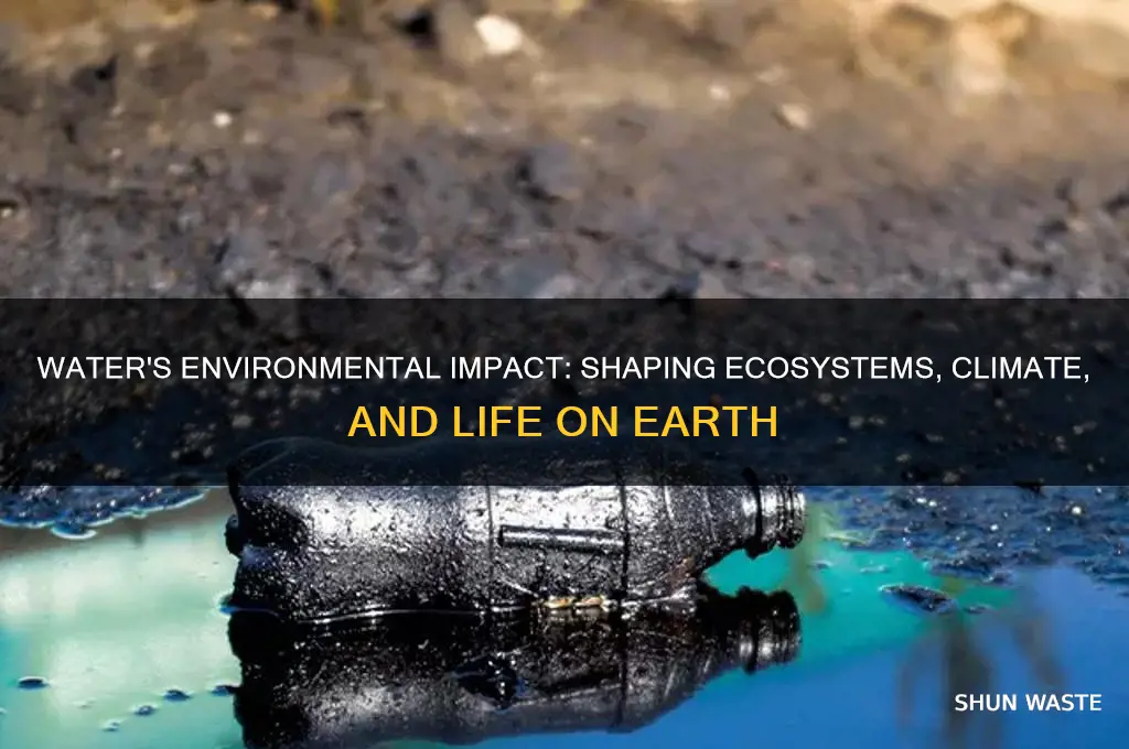 what impact does water have on the environment