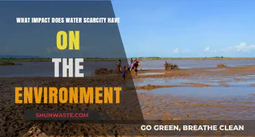 Water Scarcity's Devastating Environmental Impact: Consequences and Solutions