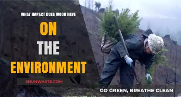 Wood's Environmental Impact: Sustainability, Deforestation, and Climate Change