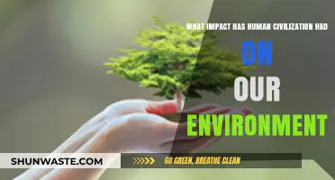 Human Civilization's Environmental Impact: A Legacy of Change and Challenge