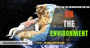 Anthropocene's Environmental Toll: Unraveling Human Impact on Our Planet