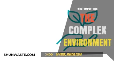 Navigating the Complex Environment: Unraveling Its Far-Reaching Impacts and Implications
