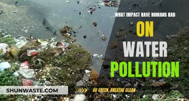 Human Impact: A Deep Dive into Water Pollution