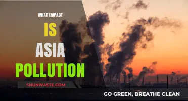 Asia's Pollution Crisis: Impacting Billions