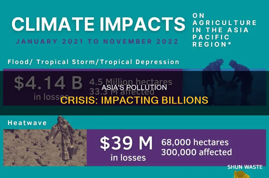 what impact is asia pollution