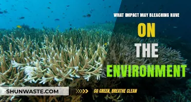 Environmental Consequences of Bleaching: Uncovering Its Impact on Ecosystems