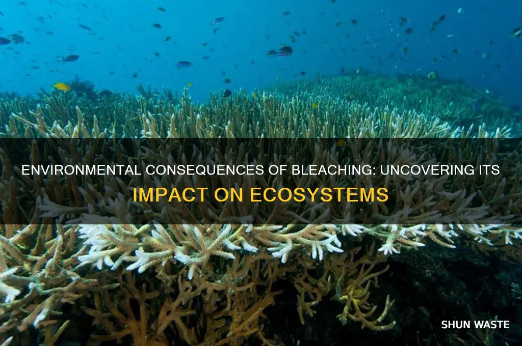 what impact may bleaching have on the environment