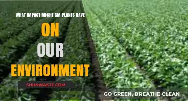Genetically Modified Plants: Environmental Benefits or Ecological Risks?