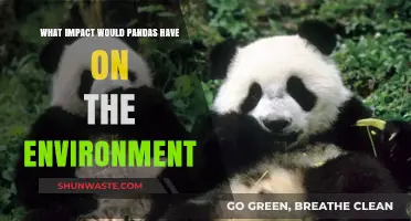 Pandas' Environmental Impact: Conservation, Habitat, and Ecosystem Balance Explored