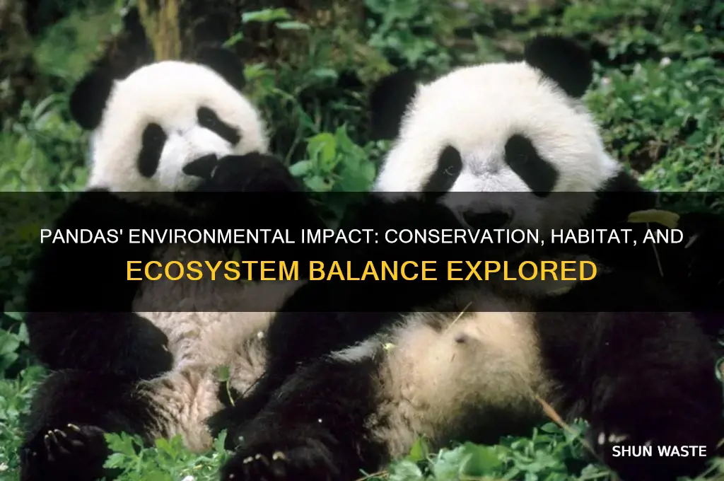 what impact would pandas have on the environment
