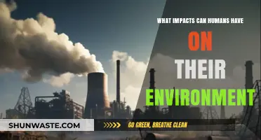 Human Actions, Environmental Reactions: Understanding Our Impact on Nature
