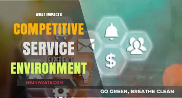 Key Factors Shaping Competitive Service Environments and Business Success
