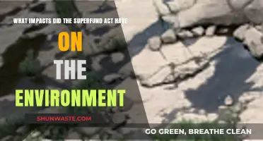 Superfund Act's Environmental Legacy: Cleanup, Challenges, and Ecosystem Revival
