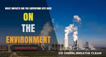 Superfund Site's Environmental Impact: Pollution, Wildlife, and Ecosystem Consequences