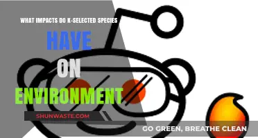 K-Selected Species: Their Environmental Impacts and Ecosystem Roles Explained
