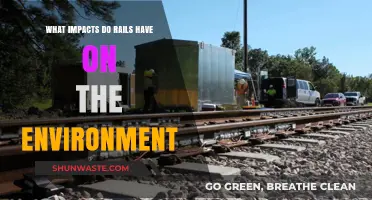 Rails' Environmental Impact: Assessing Sustainability and Ecosystem Effects