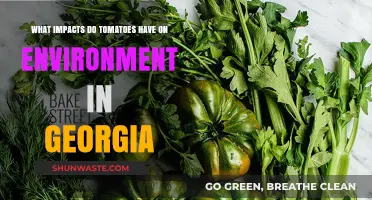 Tomatoes' Environmental Impact in Georgia: Challenges and Sustainable Solutions