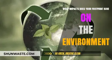 Your Footprint's Impact: Uncovering Environmental Consequences and Sustainable Solutions