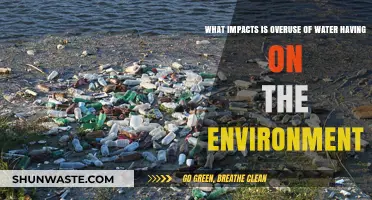 Overuse of Water: Environmental Consequences and Urgent Sustainability Challenges