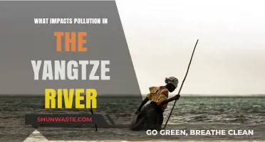 Yangtze River Pollution: Understanding the Key Factors