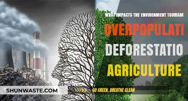 Tourism, Overpopulation, Deforestation, Agriculture: Unraveling Environmental Impacts