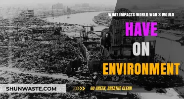 Devastating Environmental Consequences of a Potential World War III