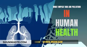 Air Pollution: A Silent Killer, Impacting Human Health