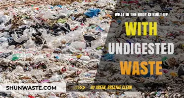 Undigested Waste Buildup: Understanding Its Impact on Your Body's Health