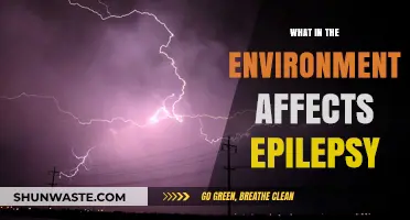 Environmental Triggers: Uncovering Factors That Influence Epilepsy Episodes