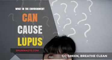 Environmental Triggers of Lupus: Uncovering Hidden Causes and Risks