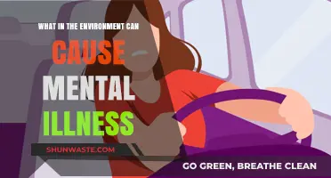 Environmental Triggers: Uncovering Hidden Causes of Mental Illness