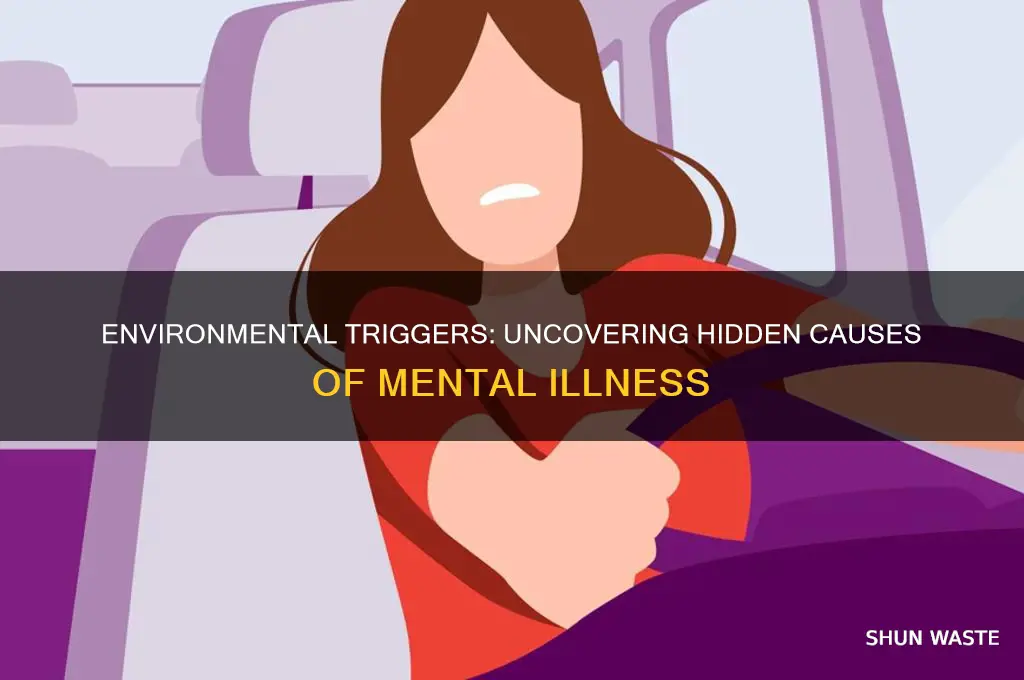 what in the environment can cause mental illness
