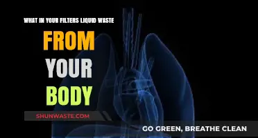 How Your Body Filters and Eliminates Liquid Waste Naturally