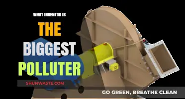 Inventors: Who Pollutes the Most?