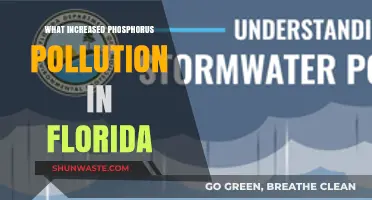 Phosphorus Pollution in Florida: A Growing Environmental Crisis