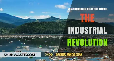 Industrial Revolution's Dark Legacy: Pollution's Rise