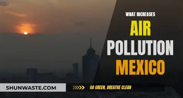Air Pollution in Mexico: The Worsening Crisis
