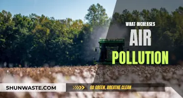 Air Pollution: The Hidden Factors Revealed
