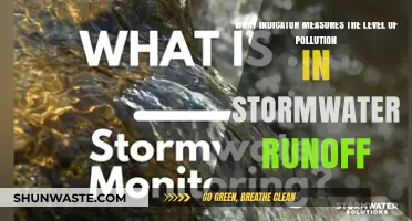 Stormwater Runoff: Pollution Indicators and Their Importance