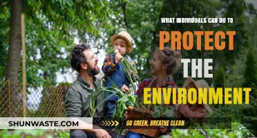 Sustainable Living: Simple Steps Individuals Can Take to Protect the Environment
