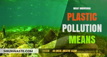 Plastic Pollution: Your Personal Impact