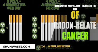 Radon and Cancer: The Indoor Air Pollutant Risk